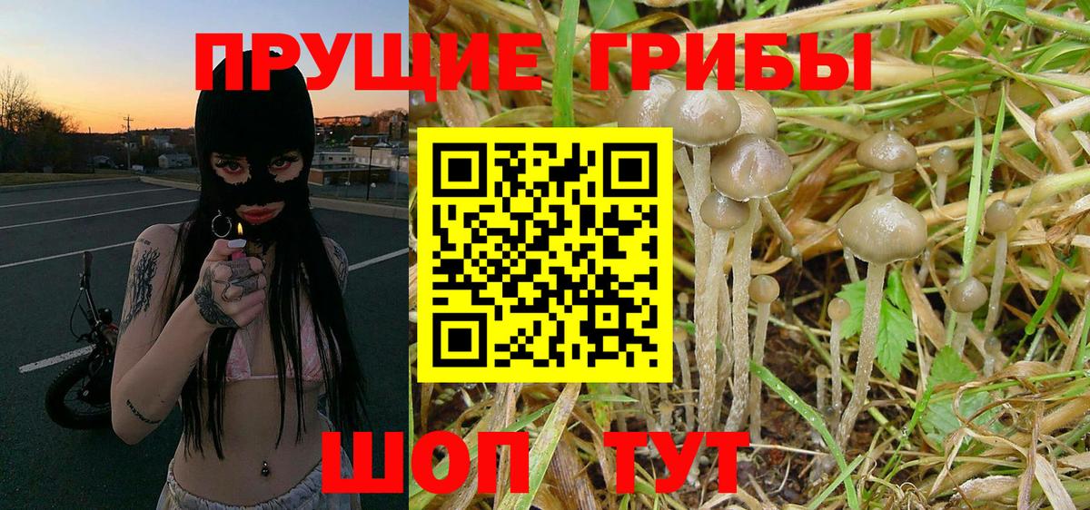 наркотики  Вход с VPN  Галлюциногенные грибы Cubensis  Алапаевск  Галлюциногенные грибы GOLDEN TEACHER 